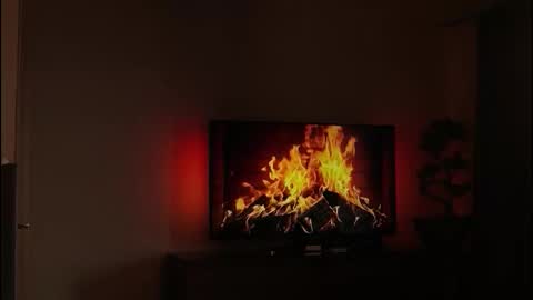 Snapshot of just_dakota_ chatting on February 19, 2026, 8:54 am just_dakota_ online show from February 19, 2026, 8:54 am