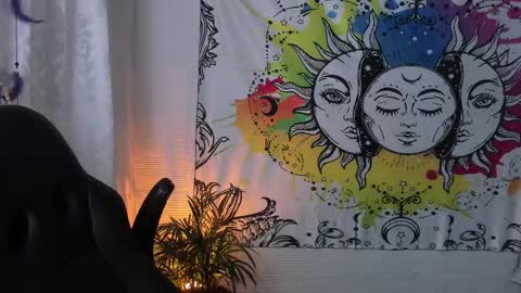 Sofia online show from February 22, 2025, 2:06 am