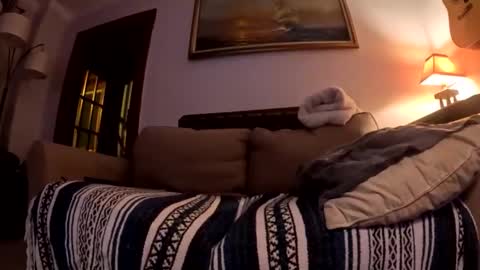 justanimals online show from December 18, 2025, 11:27 am