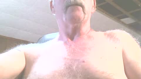 justdon online show from June 15, 2026, 2:41 pm