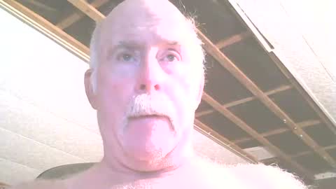 justdon online show from July 21, 2026, 2:41 pm
