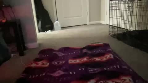 Snapshot of justincase5280 chatting on March 14, 2026, 10:42 am JustinCase online show from March 14, 2026, 10:42 am