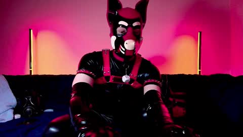 Snapshot of k9_goodboy chatting on February 25, 2026, 7:12 pm Alex online show from February 25, 2026, 7:12 pm