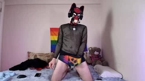 Snapshot of k9_goodboy chatting on April 9, 2026, 6:13 pm Alex online show from April 9, 2026, 6:13 pm