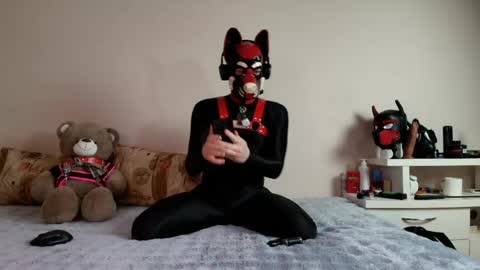 Snapshot of k9_goodboy chatting on May 1, 2026, 6:45 pm Alex online show from May 1, 2026, 6:45 pm