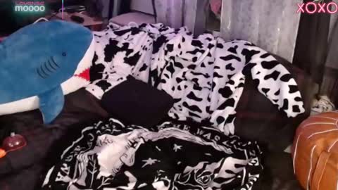 kacchanswetdreams online show from September 11, 2025, 2:11 am