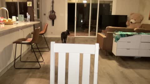 Kailee Smile online show from September 27, 2025, 4:39 am