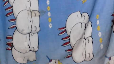 Snapshot of kaillah chatting on February 25, 2025, 7:09 am kaillah online show from February 25, 2025, 7:09 am