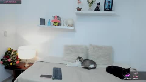 KailuaRose online show from February 23, 2025, 1:35 am