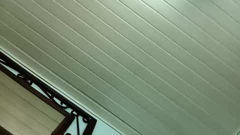 kamlug online show from February 24, 2025, 5:54 am