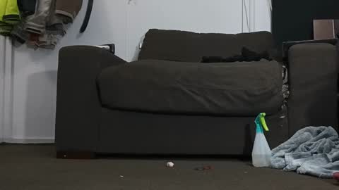 Kandy Dreams online show from January 17, 2025, 6:33 pm