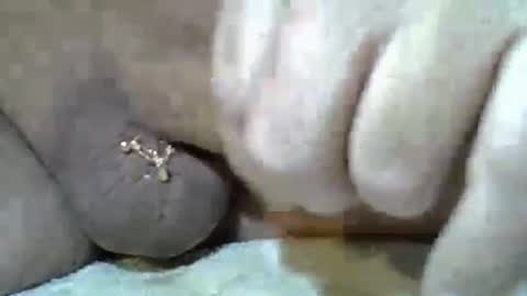 Kangarooh66 online show from November 24, 2025, 7:52 am