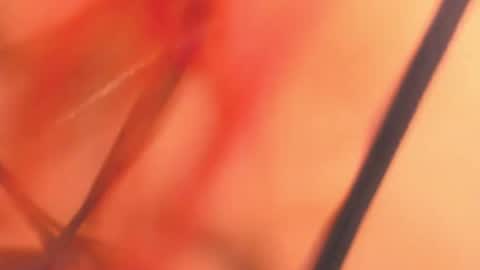 Snapshot of karina_belov_01 chatting on February 18, 2025, 8:16 am KarinaBelov online show from February 18, 2025, 8:16 am