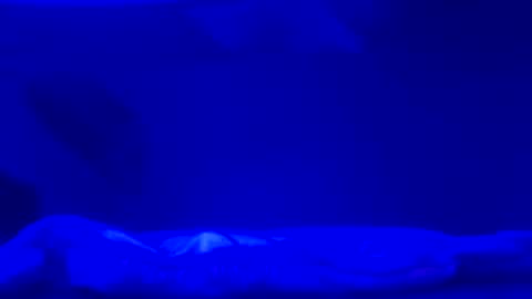 Snapshot of karla_gonzaless chatting on November 2, 2025, 6:49 am Karla Gonzaless online show from November 2, 2025, 6:49 am