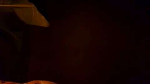 Snapshot of karla_gonzaless chatting on November 4, 2025, 6:56 am Karla Gonzaless online show from November 4, 2025, 6:56 am