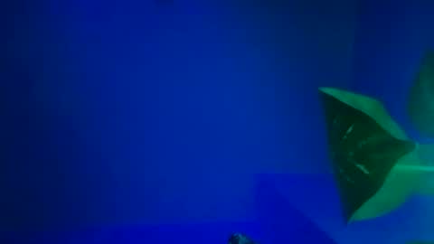 Snapshot of karla_gonzaless chatting on November 9, 2025, 6:44 am Karla Gonzaless online show from November 9, 2025, 6:44 am