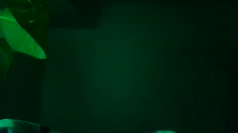 Snapshot of karla_gonzaless chatting on November 13, 2025, 7:29 am Karla Gonzaless online show from November 13, 2025, 7:29 am