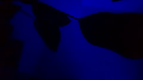 Snapshot of karla_gonzaless chatting on November 14, 2025, 3:05 am Karla Gonzaless online show from November 14, 2025, 3:05 am