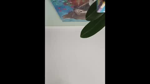 karnathra online show from April 10, 2026, 3:50 pm