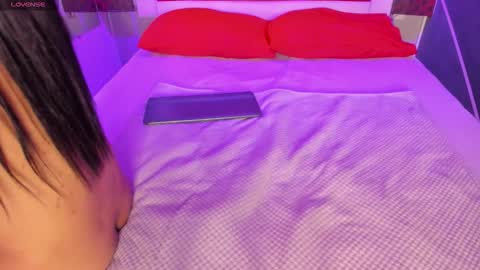 Karol online show from February 20, 2026, 11:54 am