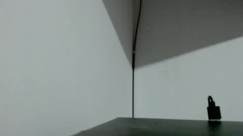 Tamires e Maicon online show from November 4, 2025, 1:48 am