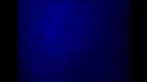 kathy online show from March 5, 2025, 10:21 pm