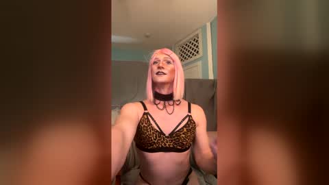 Snapshot of katiebabykitty chatting on May 22, 2026, 1:35 am katiebabykitty online show from May 22, 2026, 1:35 am