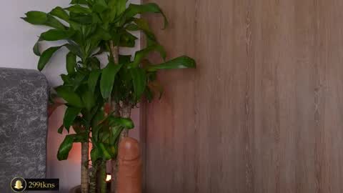 Katie online show from November 20, 2025, 11:21 am