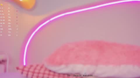 Katy  IGPeach kat666 online show from January 14, 2025, 4:18 pm