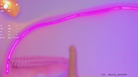 Katy  IGPeach kat666 online show from February 3, 2025, 3:59 pm