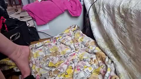 katladyzsafespace online show from December 4, 2025, 5:54 pm