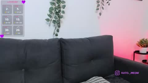 Kato online show from December 1, 2025, 12:59 am