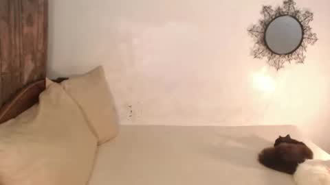 Snapshot of katrinathegreat chatting on March 14, 2026, 7:41 pm katrinathegreat online show from March 14, 2026, 7:41 pm