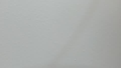 Snapshot of katy_and_paola chatting on February 13, 2025, 7:21 pm katy blonde girl and paola big boobs online show from February 13, 2025, 7:21 pm