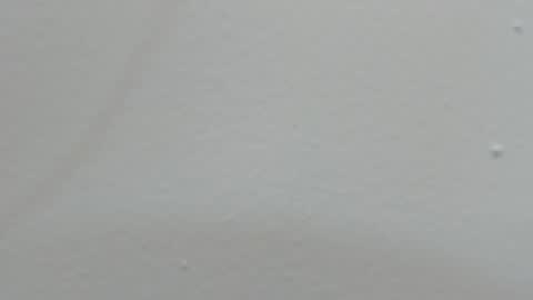 Snapshot of katy_and_paola chatting on February 14, 2025, 7:44 pm katy blonde girl and paola big boobs online show from February 14, 2025, 7:44 pm