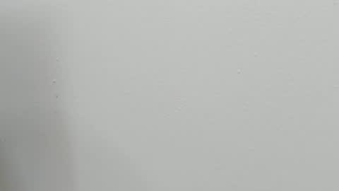 katy blonde girl and paola big boobs online show from October 28, 2025, 7:49 pm