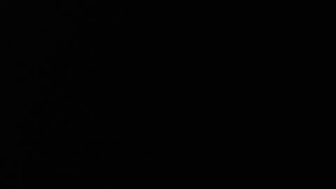 Neon online show from July 13, 2026, 5:49 pm