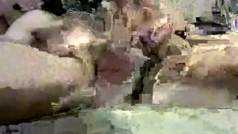 kazzarsouth online show from March 5, 2025, 2:12 pm