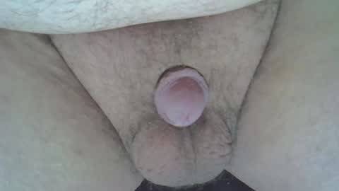 maggot online show from December 30, 2024, 10:01 pm