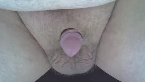 maggot online show from January 1, 2025, 7:52 am