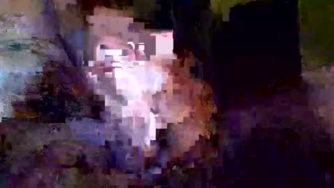 Snapshot of khrisdavis63 chatting on October 21, 2025, 3:18 am Khristopher Davis online show from October 21, 2025, 3:18 am