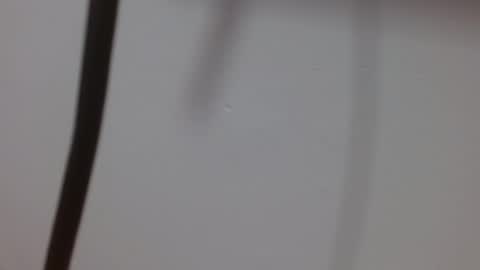 Melody online show from October 3, 2025, 12:02 pm