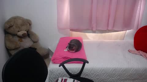 Snapshot of kimberly_slim chatting on February 20, 2025, 4:36 pm Kim online show from February 20, 2025, 4:36 pm