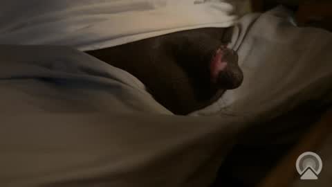 AsYouLikeCock online show from April 9, 2026, 6:35 pm