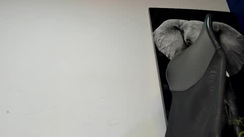 Angel Falconer online show from November 4, 2025, 2:10 am