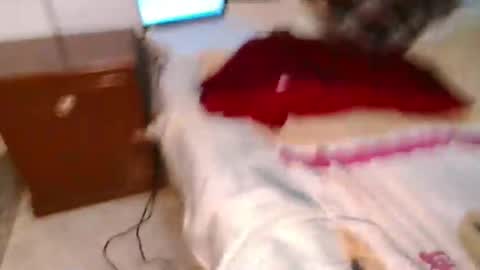 Conejo online show from March 10, 2025, 12:18 am