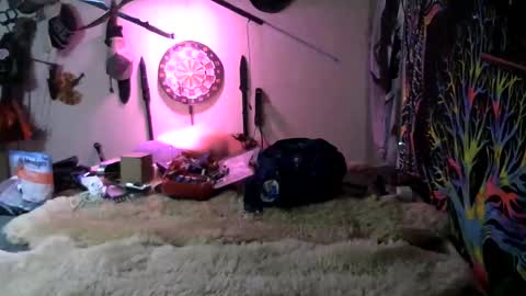 Snapshot of kingdawgg77 chatting on March 7, 2026, 1:24 am Jerry online show from March 7, 2026, 1:24 am