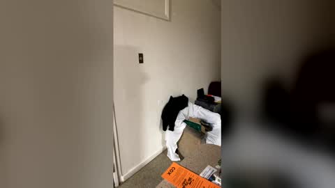 Snapshot of kingecstasyxxxddd chatting on January 16, 2026, 8:51 am kingecstasyxxxddd online show from January 16, 2026, 8:51 am