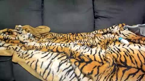 Snapshot of kinkykortney chatting on January 7, 2026, 9:12 am Kinky online show from January 7, 2026, 9:12 am