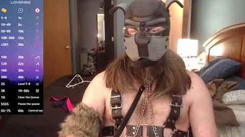 Snapshot of kinkywolf87 chatting on January 27, 2025, 8:49 pm kinkywolf87 online show from January 27, 2025, 8:49 pm